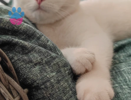 Oğlumuz behlül  için gelin adayı arıyoruz