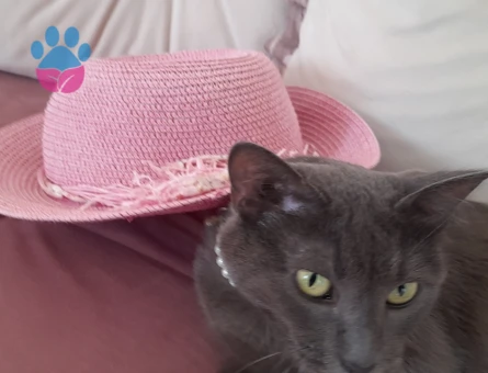 Biriciğime eş arıyoruz.