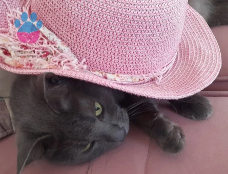 Biriciğime eş arıyoruz.