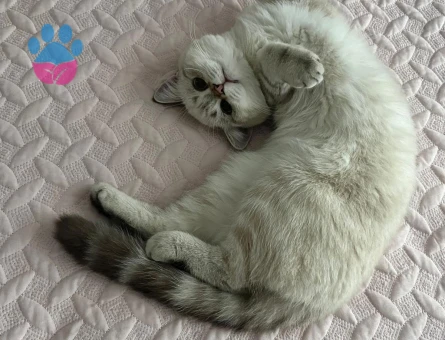Yakışıklı Oğlumuza Eş Arıyoruz!