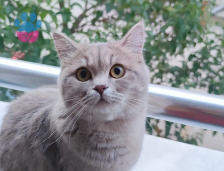 Eş Arıyoruz