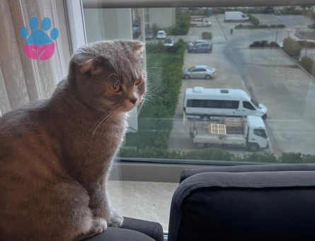 Kızımız Bihter için eş arıyoruz