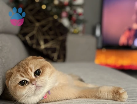 GOLDEN GÜZELLIK ABİDESİ KIZIMIZ