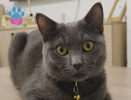 8 Aylık oğlumuz için eş arıyoruz