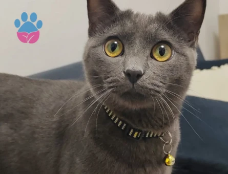 8 Aylık oğlumuz için eş arıyoruz