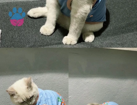 Yakışıklı prensime  prenses arıyorum