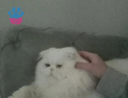 Oğlumuza eş arıyoruz