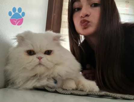 Oğlumuza eş arıyoruz