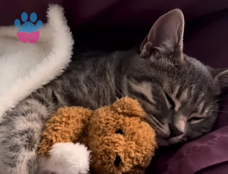 9 aylık kızıma eş arıyorum