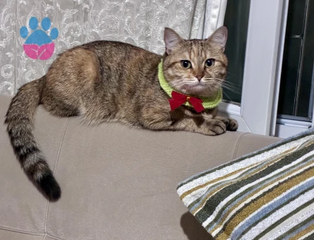 Balıma erkek eş arıyoruz