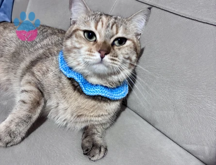 Balıma erkek eş arıyoruz