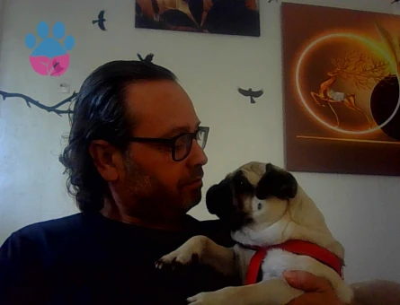 PUG 1.5 YASINDA ERKEK ALİAĞA