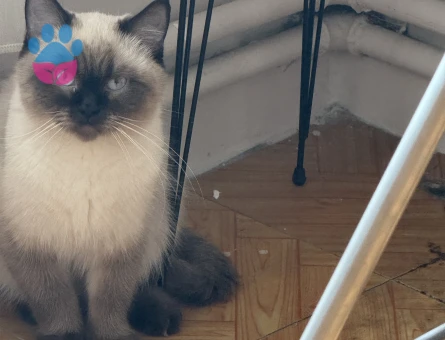 Kızandaki Kızımıza Eş Arıyoruz