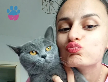 Kedime acil eş arıyorum