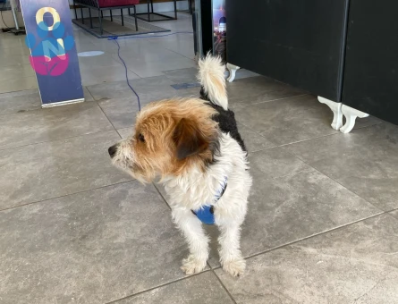 2 Yaşındaki Yakışıklı Oğlum Için Eş Arıyorum