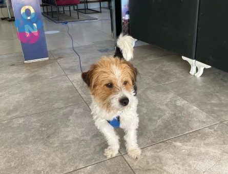 2 Yaşındaki Yakışıklı Oğlum Için Eş Arıyorum