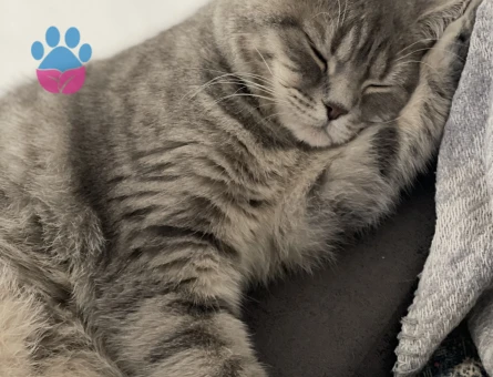 Beyaz erkek eş arıyoruz