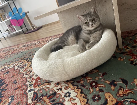 Beyaz erkek eş arıyoruz