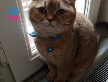 ACİLLLLL!!! Oğluşuma eş arıyorum