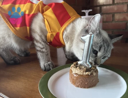 Prensesime prens arıyorum