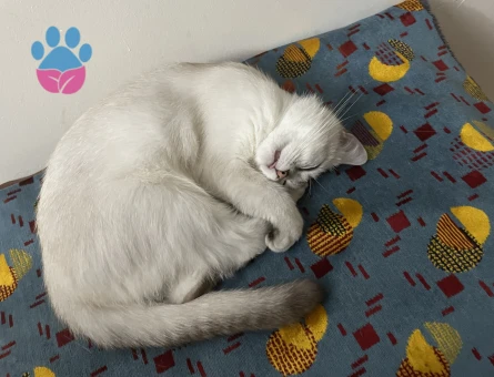 LÜTFEN AÇIKLAMAYI OKUYUN