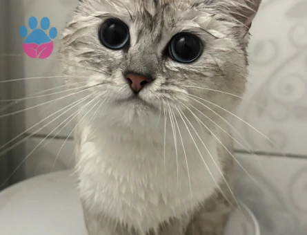 LÜTFEN AÇIKLAMAYI OKUYUN