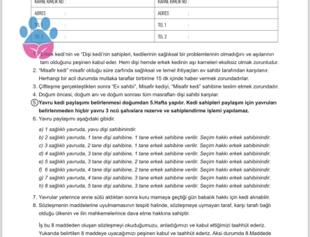 British oğlum tekrar baba olmak istiyor