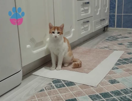 Narinimize Eş arıyoruz