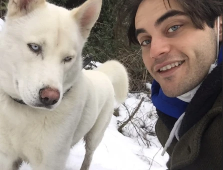 Husky - 118976452