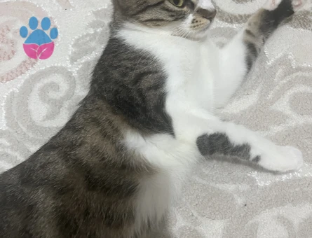 Kızımıza Eş arıyoruz