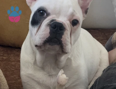 OĞLUMA DIŞI ARIYORUM