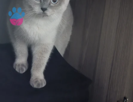 1 YAŞINDA OLAN KIZIMA EŞ ARIYORUZ