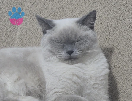 1 YAŞINDA OLAN KIZIMA EŞ ARIYORUZ