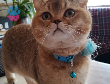 ACİLLLLL!!! Oğluşuma eş arıyorum