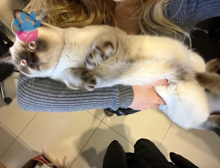 OĞLUMUZ İÇİN EŞ ARIYORUZ