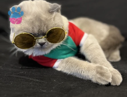 Takamıza Gelin Adayı Arıyoruz