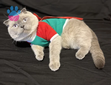 Takamıza Gelin Adayı Arıyoruz