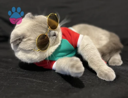 Takamıza Gelin Adayı Arıyoruz