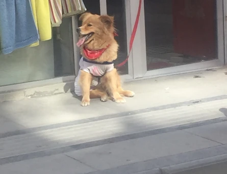 Acil kızanlığa girdi - 118973950