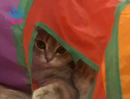 Mia Balımıza Güzel Bir Eş Arıyoruz