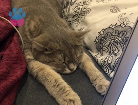 Mia Balımıza Güzel Bir Eş Arıyoruz