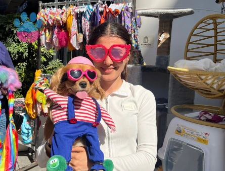 3 yaşında dişi cocker