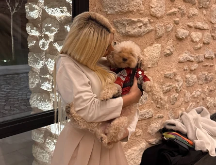 Toy Poodle 4 Yaşında Köpeğim Eş Arıyor - 118974910