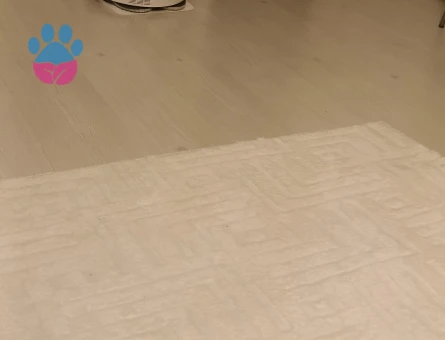 British kızıma Eş Arıyorum