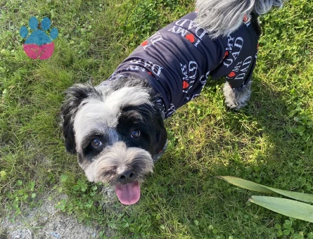 Date’e çıkaracağım güzel hanımköpüşleri arıyorum.