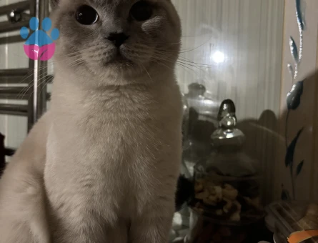 Oğlumuza eş arıyoruz