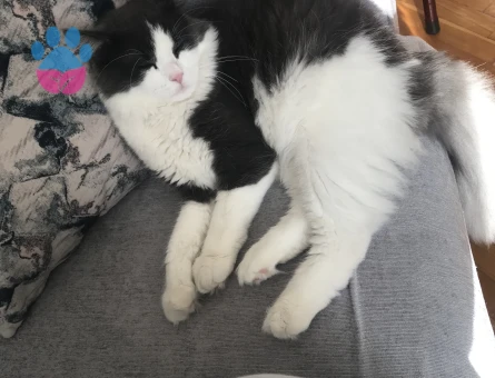 güzel kızlar eklesin