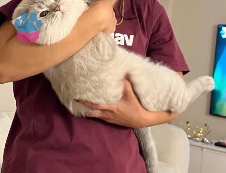 OĞLUMA GELİN ADAYI ARIYORUM