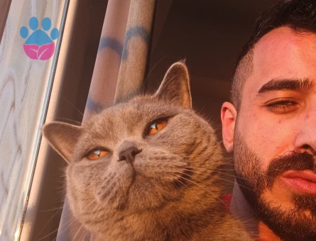 Kızıma Eş Arıyorum