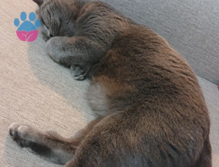 Kızıma Eş Arıyorum